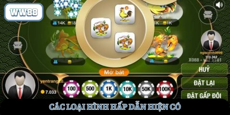 Các loại hình hấp dẫn hiện có