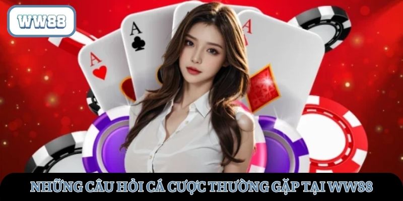 Câu Hỏi Thường Gặp