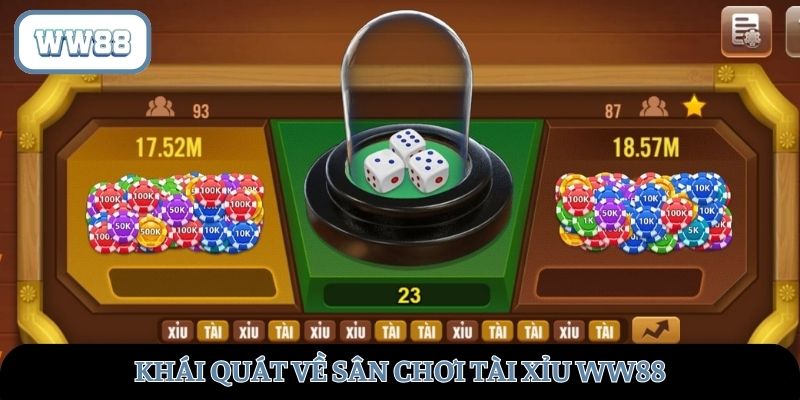 Khái quát về sân chơi thú vị
