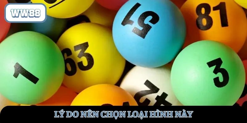 Lý do nên chọn loại hình này