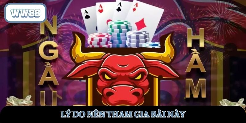 Lý do nên tham gia bài này