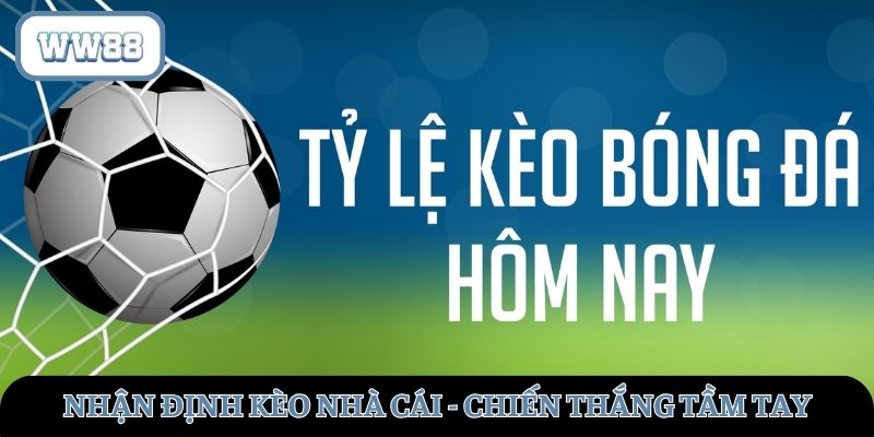 Nhận định kèo nhà cái