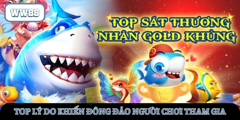 Những lý do chính tựa game đón nhận đông đảo người chơi