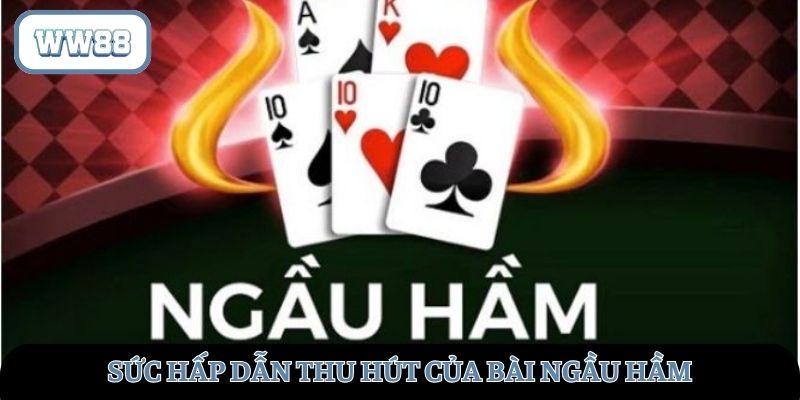 Sức hấp dẫn thu hút của loại hình này