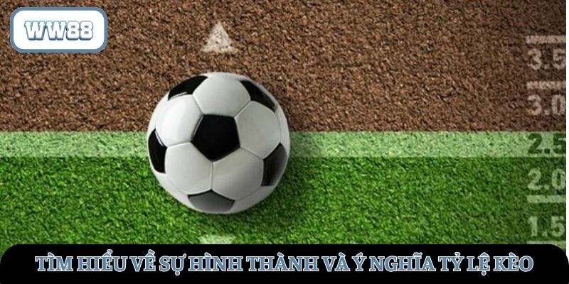 Tìm hiểu quá trình hình thành và ý nghĩa của tỷ lệ đặt kèo